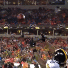 Amazing catch
