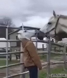 Horse reacts to woman in unicorn mask