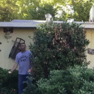 Guy catches flying egg in mouth