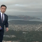 Crow photobombs San Francisco weather report