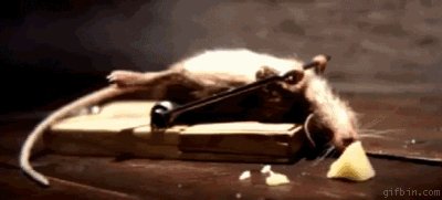 1266860156_mouse_benchpressing_trap.gif