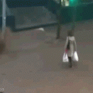 Crossing the flodded street