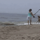 Dog fetch fail