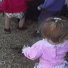 Little girl vs. goats