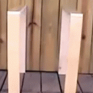 Invisible cat illusion