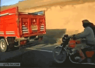1329760438_stealing_sheep_from_moving_truck.gif