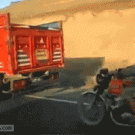 Stealing sheep from moving truck