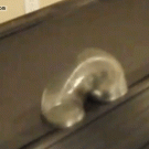 Slinky on a treadmill