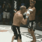Knock out fap