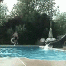 Swimming pool basketball team trick shots