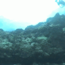 Scuba diver vs. underwater current