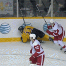 Pavel Datsyuk amazing hockey goal