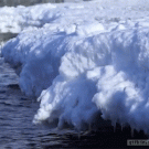 Slo-mo penguins jumping out of water