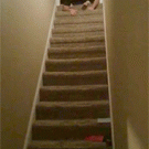 Tandem stair sledding fail