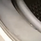 Where missing socks go