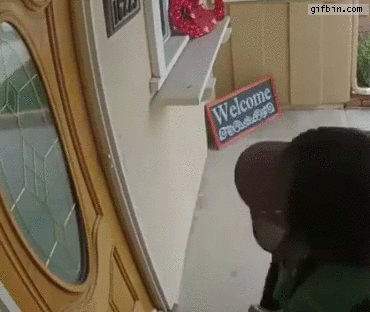 dog-breaks-door-window.gif