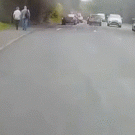 Cat near-death experience