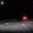 Deer tries to get in car