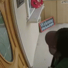 Dog breaks door window