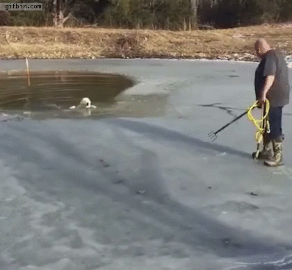 http://www.gifbin.com/bin/022018/dog-rescues-self-from-frozen-pond-by-pulling-on-rope.gif