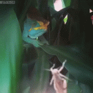 Chameleon eats grasshopper