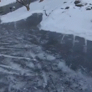 Slippery driveway