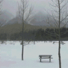 A year in the Rocky Mountains