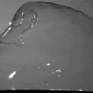 Blowing bubble in slow-motion