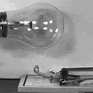 Light bulb vs. mouse trap