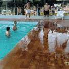 Swimming pool belly slide dive