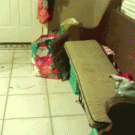 Synchronized twins