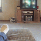 Dog hits drum while running