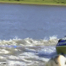 Silver carp tennis