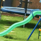 Dog climbing slide fail