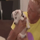 Puppy bites guys nose