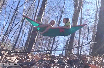 Image result for falling off a hammock gif
