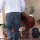 Cat owner instant karma