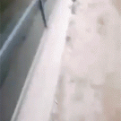 Hawk surprise wake-up