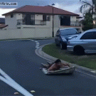 Magic carpet ride on a skateboard