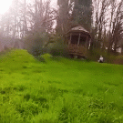 Dog drifts in slo-mo