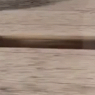 Dog running besides car tumbles and falls