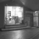 Cats run into glass door