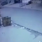 Man saves running dog from being hit by truck