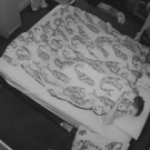 Pet rabbit runs around sleeping couple's bed