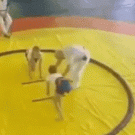 Wrestler girl knocks out referee with opponent's leg