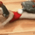 Girl eaten by a snake