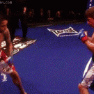 Knock out punch