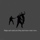 Ninjas can't catch you if they don't know what is love