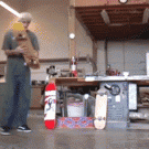 Bouncing skateboard