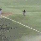Amazing baseball jump
